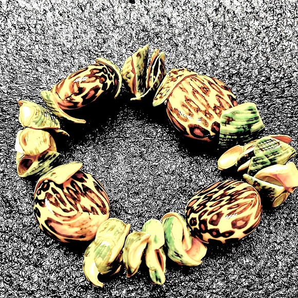 Glossy Snail Shell/Glass Stone Elastic Bracelet - Picture 5 of 5